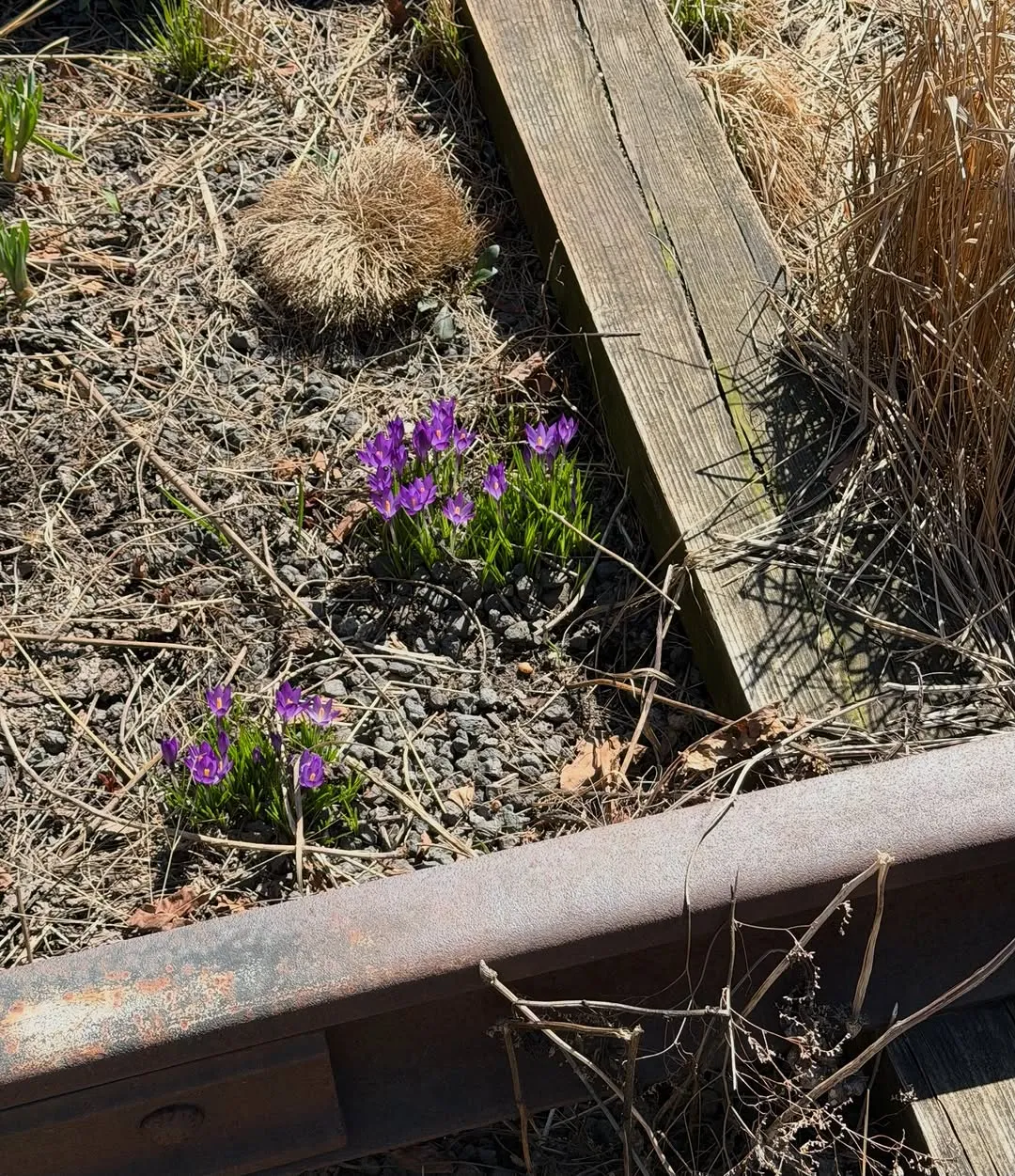 BTS, RM, Instagram, gips, cedera, Arirang, comeback