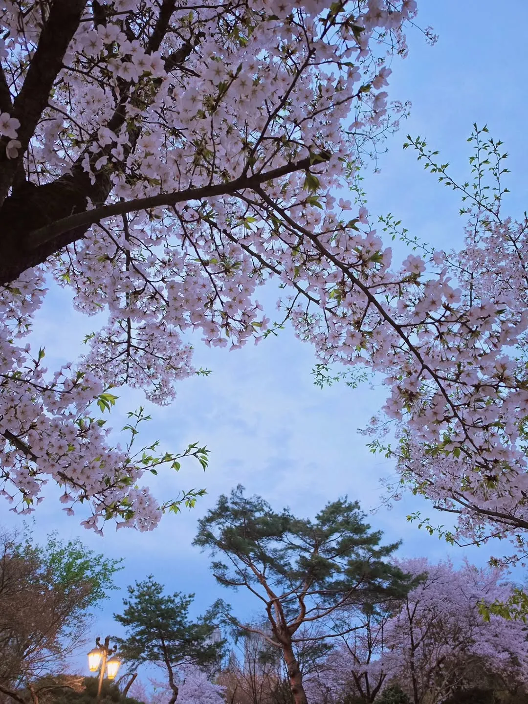 朴恩斌, 演员, Instagram, 粉丝, 照片