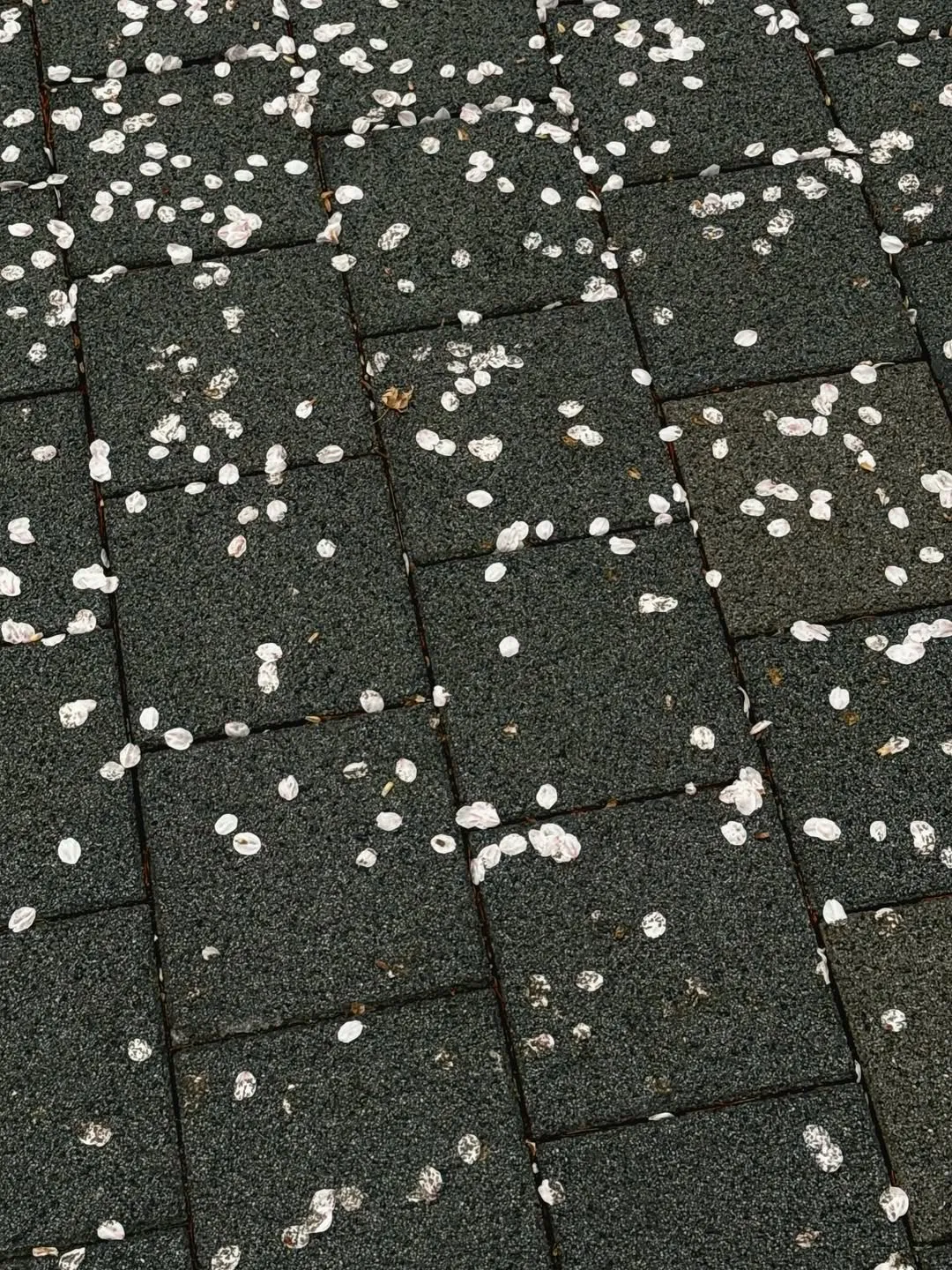 NCT, Ten, Instagram, WayV, SM Entertainment, Life update