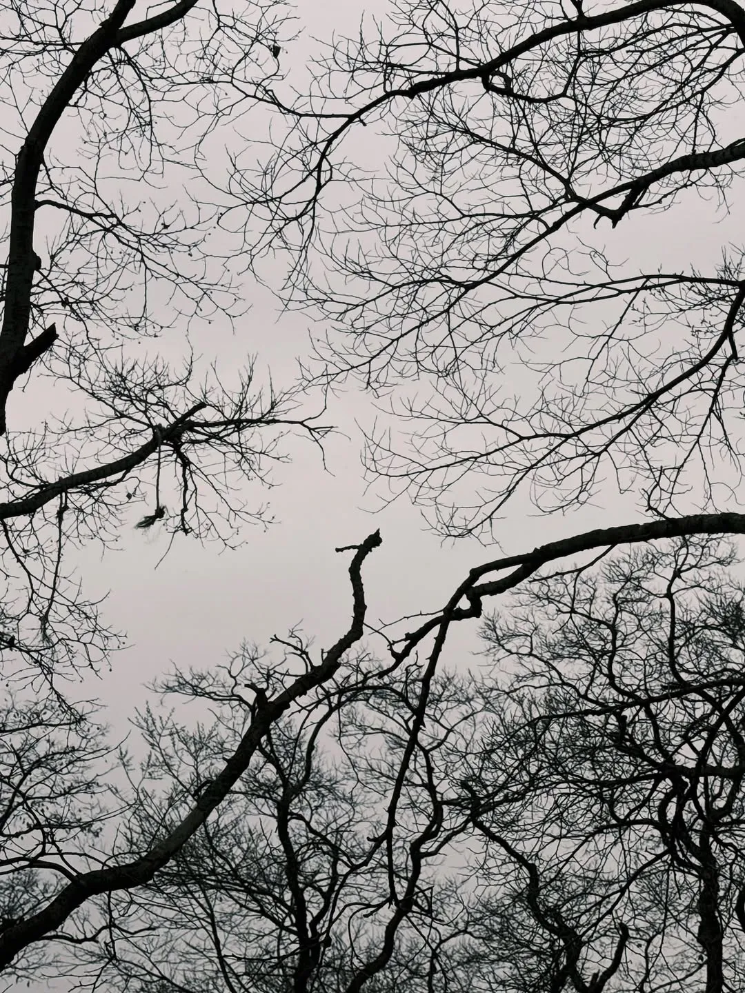 NCT, Ten, Instagram, WayV, SM Entertainment, Life update