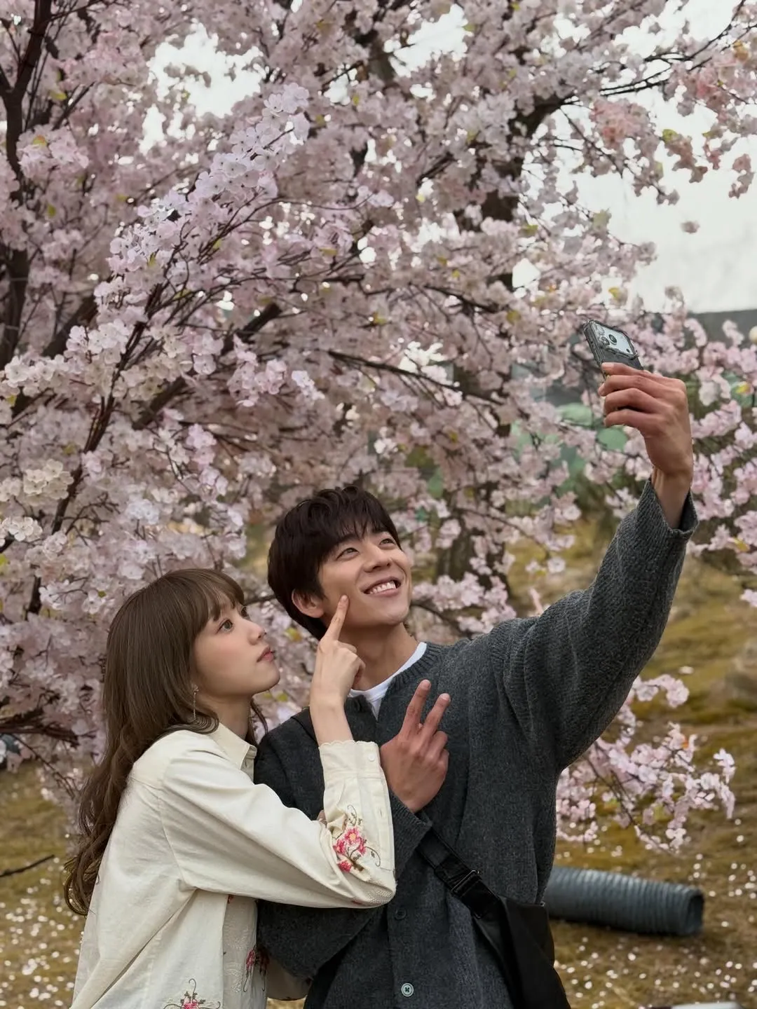 电视剧, 灿烂的你的季节, 李圣经, 下一部作品, Instagram, 收官, 蔡钟协, 金土剧