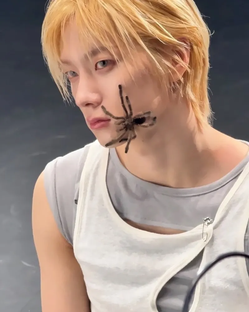 Is A Spider Their 7th Member? BOYNEXTDOOR Drop Shocking Behind-The-Scenes Of Their Concept Shoot