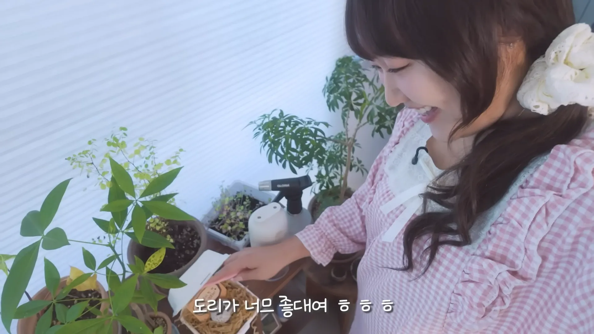 イ・スジ, ホットイシュージ, エゲン女, トゥジ, サブキャラ