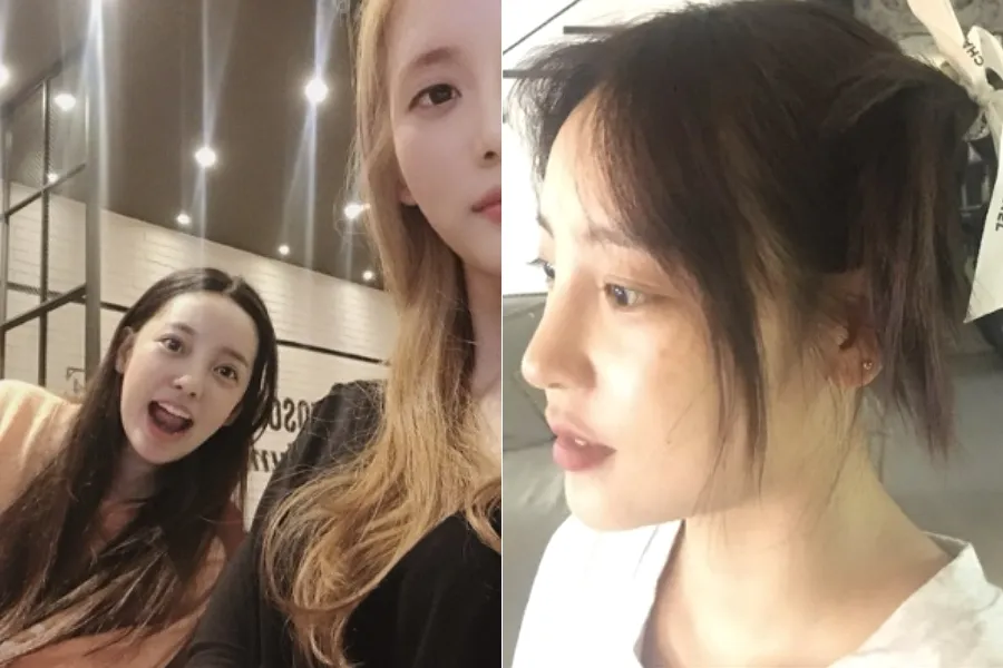 Goo Hara, Han Seo-hee, Remembrance, Death, Friend, Friendship