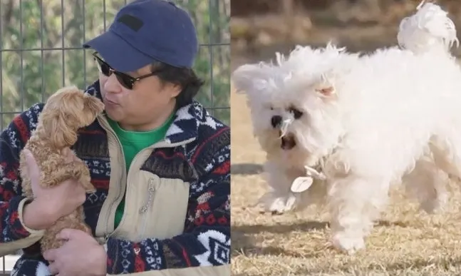 Koo Seong‑hwan Surprised as Dog Kkotbuni Gets Jealous — ‘Oppa Keeper’ Charm Shines
