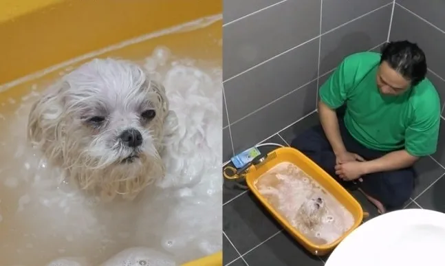 Koo Seong-hwan, I Live Alone, Kkotbuni, Goojeossi, Diet, Separation