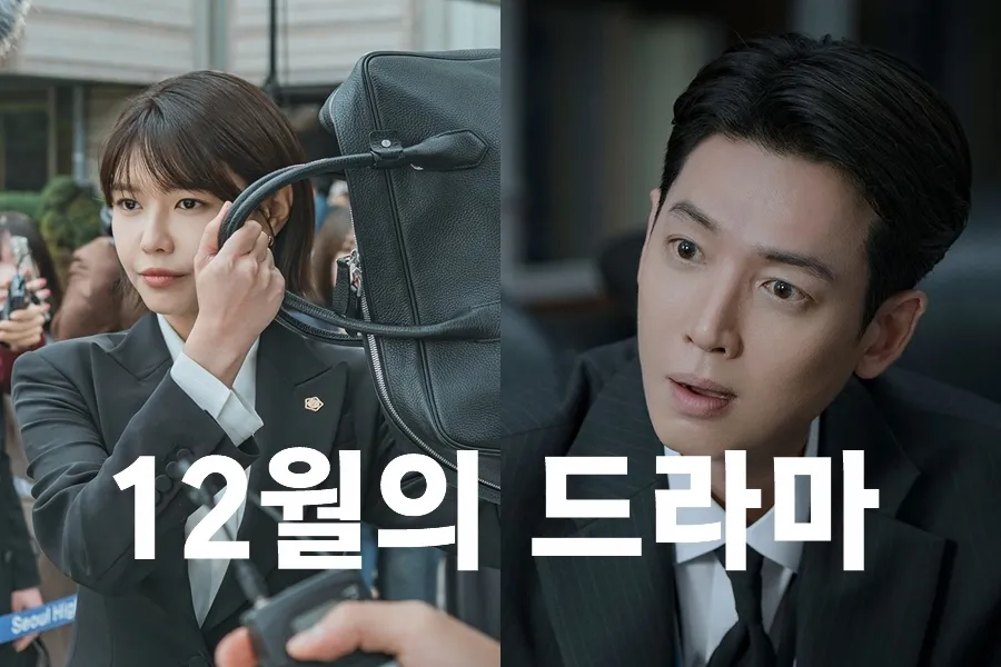 「12月のドラマ」スヨン『アイドルアイ』→チョン・ギョンホ『プロボノ』、揃って法廷もので勝負