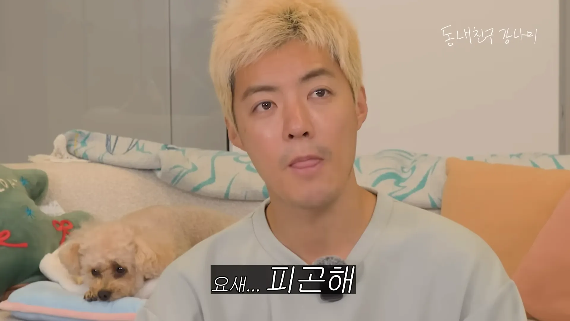 Kangnam, Plastic surgery, Side effect, Name recognition, Visuals, Pictorial, Shoot