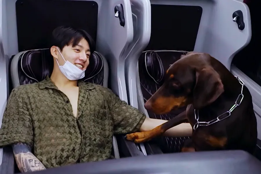 "친구는 데려오면서…" BTS 정국, 반려견 '유기 논란' 도마 위