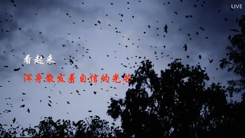 ENHYPEN, Park Jung-min, Dynamic Duo, Se So Neon, Tsuda Kenjiro, Lars Huang, Hwang So-yoon, The Sin: Vanish, narración