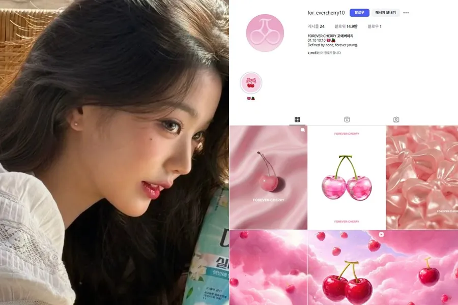 아이브 장원영, '포에버: 체리' 상표권 출원…"이걸 진짜 굴리네"