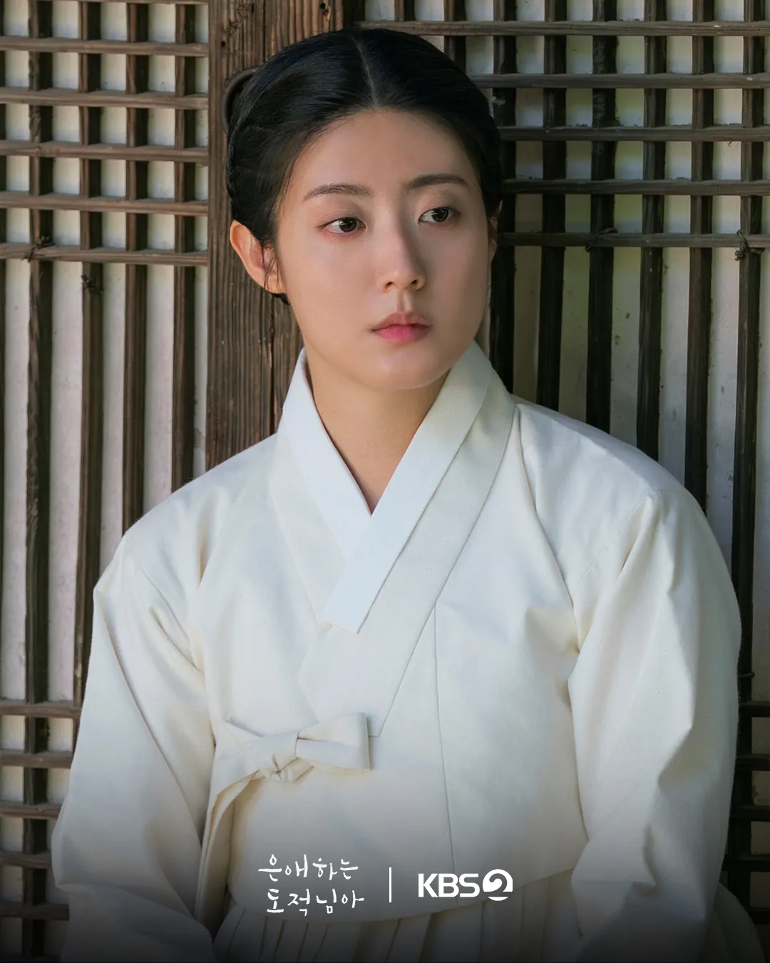 周末剧, 南志铉, 亲爱的盗贼啊, 演技, 动作, 类型, 文相珉, 电视剧