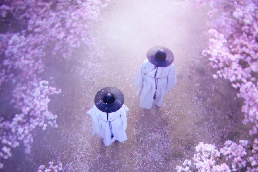 Pôster de 'Mongyudowondo' recebe elogios pela estética… “aperta o coração”