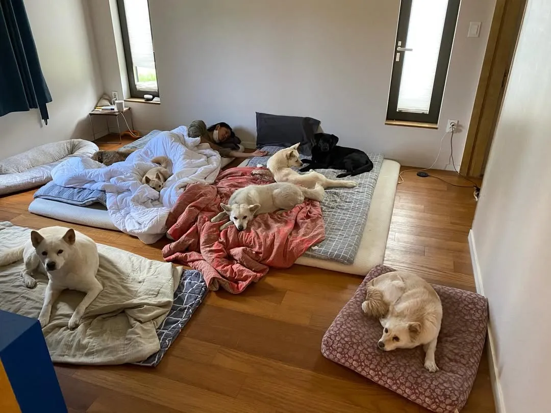 李孝利, 爱犬, 照片, 卫生, 争议, 指责