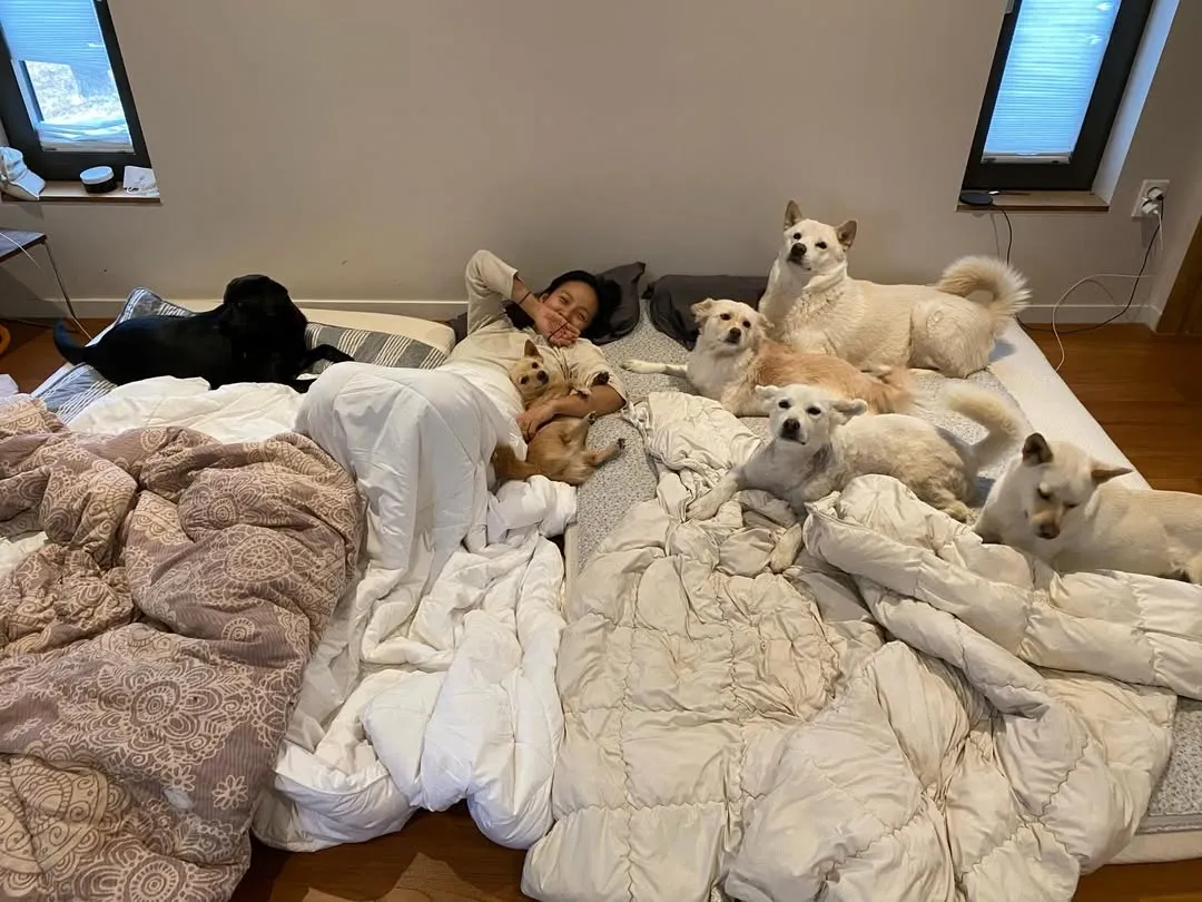 李孝利, 爱犬, 照片, 卫生, 争议, 指责