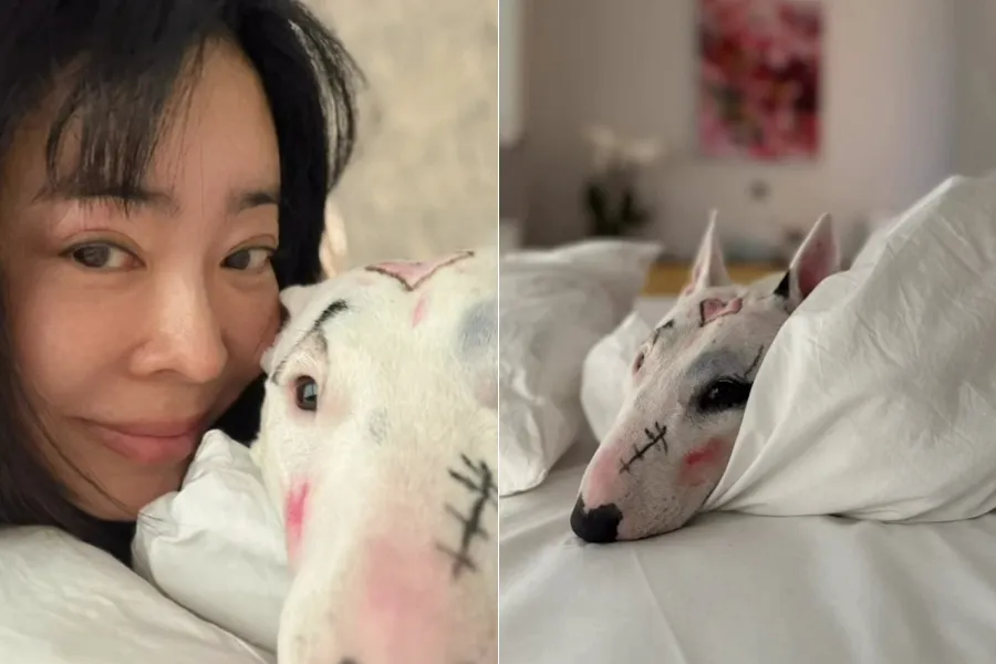 Riasan di wajah anjing peliharaan? Lee Hye-young terseret kontroversi 'perlakuan kejam terhadap hewan' yang tak terduga