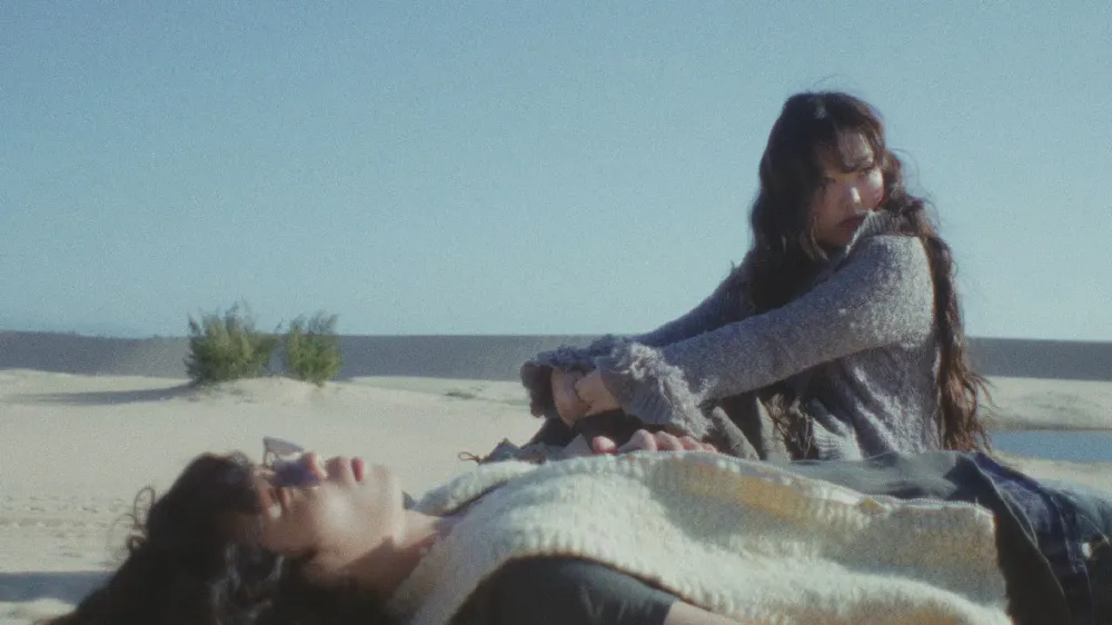 AKMU, 樂童音樂家, 開花, 喜悅、悲傷、美麗的心, 靈感之泉, 李秀賢, 李燦赫