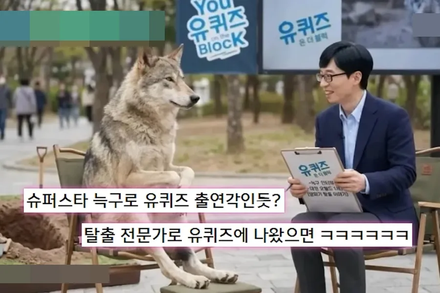 Vet Who Captured ‘National Wolf’ Neukgu Joins ‘You Quiz’ — Reveals the Full Story of the 9-Day Chase