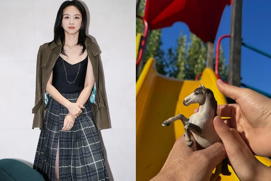 「46歳」タン・ウェイ、第2子を妊娠「家に“小さな馬”がもっと増えそう」