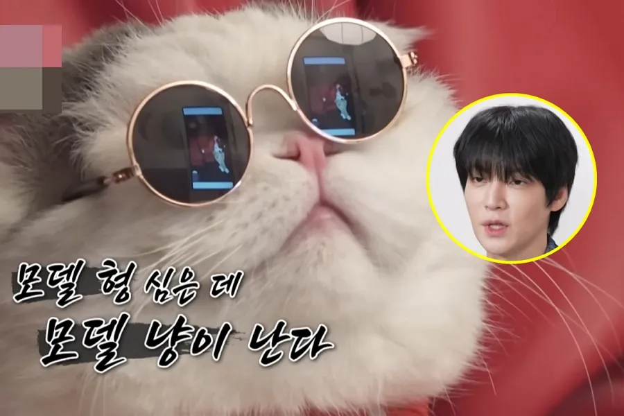 On the Verge of Tears: Ahn Jae-hyun Struggles To Shoot His First Family Photos With Cat Anju