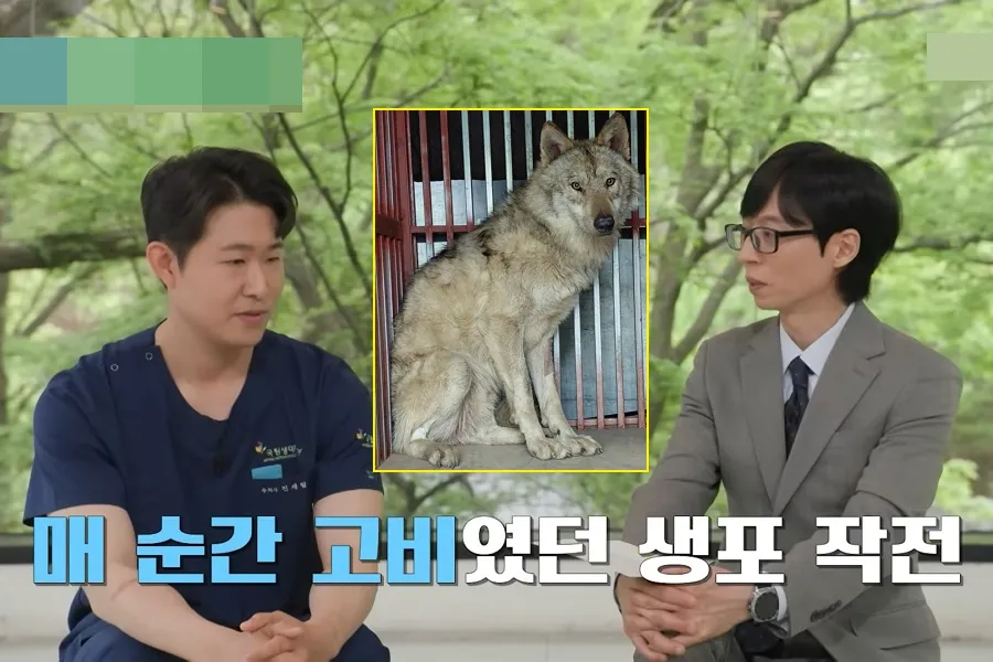 Nove dias de perseguição: as histórias por trás da captura de Neukgu