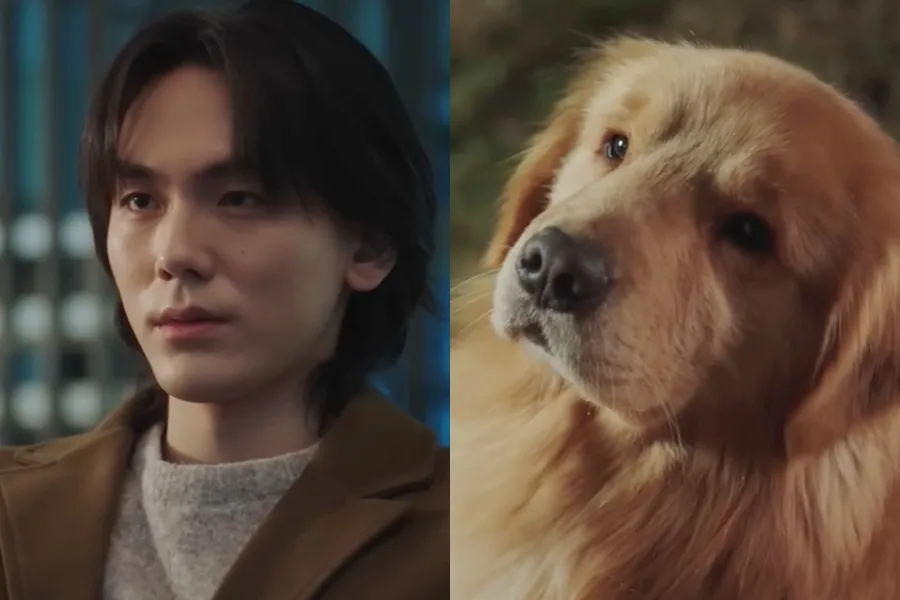 ‘Doctor Shin’ Jung Yi-chan’s Shocking Finale: ‘A Retriever After Death’ — “Beyond Imagination”