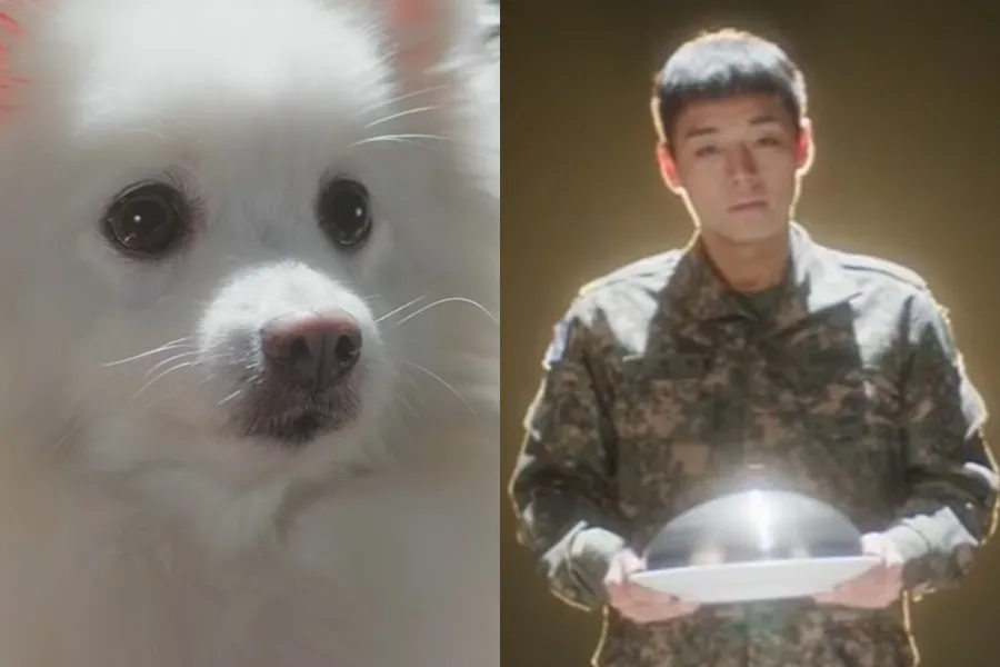 Shocking: Park Ji-hoon’s Dog-Approved Gourmet—“How Far Will the Absurdity Go?”