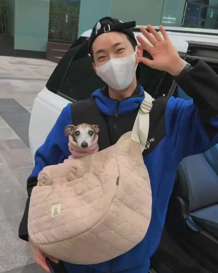 Jo Kwon, completamente abrigado con su perro... "Cuídense del resfriado"