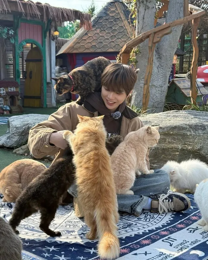 Daniel Kang, the Icon of Feline Affection, Is Everyone’s Favorite
