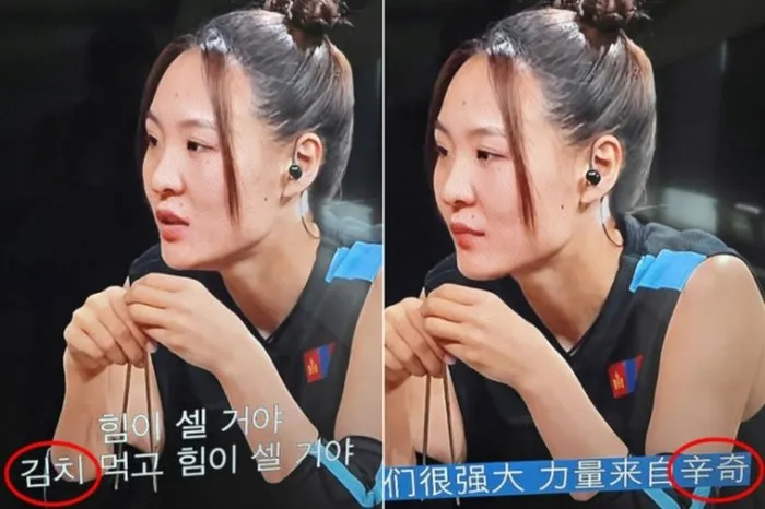 Netflix, Kimchi, Shinchi, Controversia sobre notación, Physical: Asia, Paochai